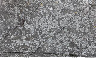 Photo Textures of Wood